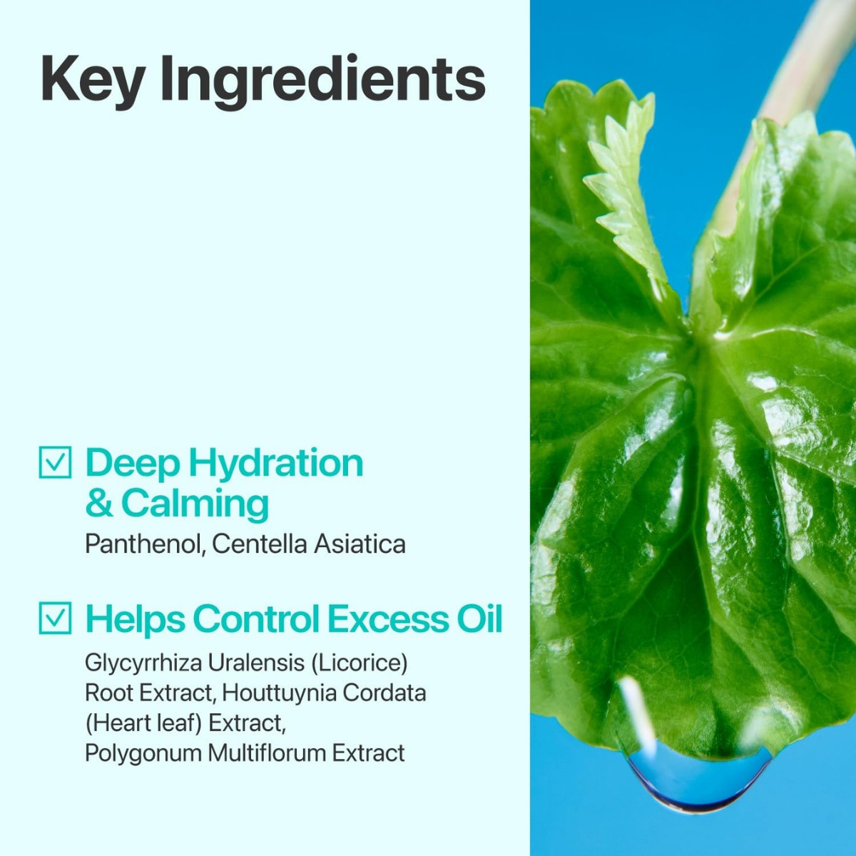 Numbuzin - No.1 Pure-Full Calming Herb Toner 300 ml - Billede 5